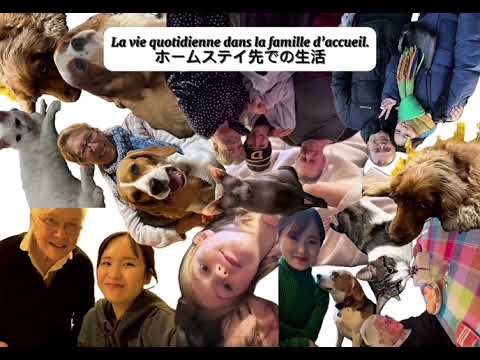 フランス語コースの4年間をご紹介！【帝京大学外国語学部外国語学科】