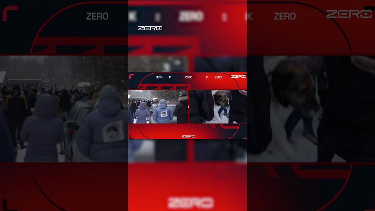 UDAŁO SIĘ URATOWAĆ PSA ZE SCHRONISKA W SOBOLEWIE