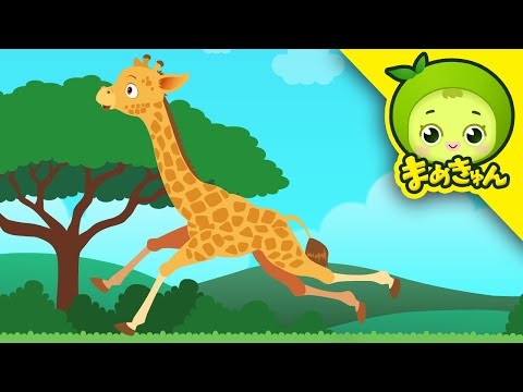 キリンを助けろ | 動物救助隊 | まめきゅん MAMEKYUNN 4K