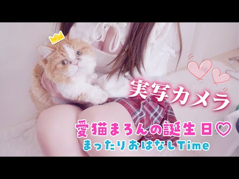 【実写カメラ】愛猫まろんの誕生日パーティー🎂🐾まったりおはなしTime♡超美麗３D【花宮莉歌/#新人Vtuber】