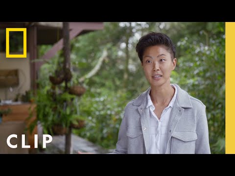 Would you go to a restaurant in the rainforest? | Restaurants at the End of the World