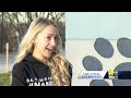 Animal shelters to host My Furry Valentine adoption event  - 01:51 min - News - Video