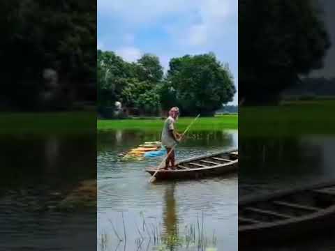 আমি কাশ্মীর দেখি নাই কিন্তু আমার গ্রামের সৌন্দর্য দেখেছি!🇧🇩🥰#shorts #viral #village #youtubeshorts