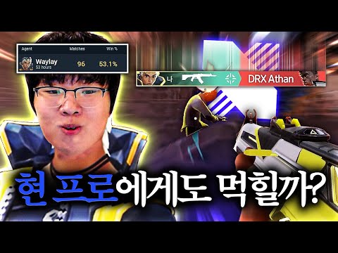 현 프로 상대로 시작된 