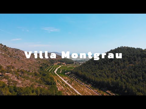 Property video
