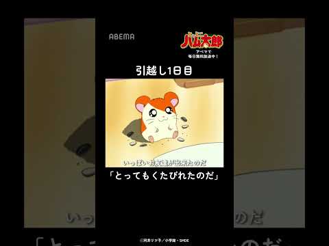 引越し1日目はくたびれるよね… |「とっとこハム太郎」アベマでは毎日無料配信中!#shorts