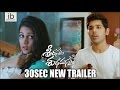 Srirastu Subhamastu 30sec new trailer-Allu Sirish, Lavanya Tripathi