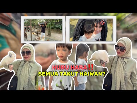 SERAM‼️ALIEFF & ANAK2 KENA SER4NG DENGAN BINATANG ‼️JUMPA HAIWAN MUKA MCM ASLAH ⁉️