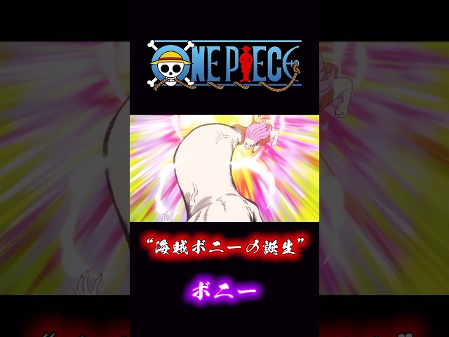 ONEPIECE “海賊ボニーの誕生” ボニー #onepiece #ボニー #くま