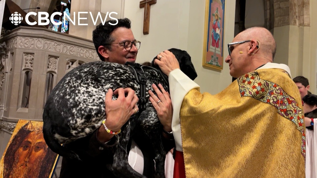 Blessed be the fur babies: Montreal church hosts pet-friendly St. Francis Day service