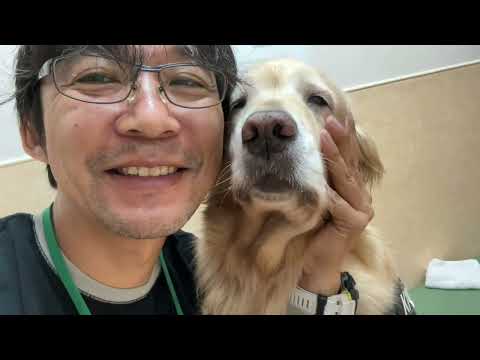 僕は老いた愛犬と共に