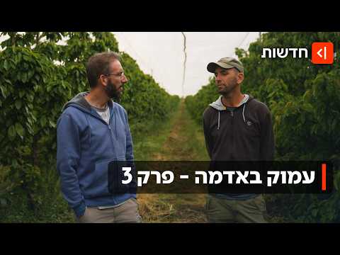 בגלל משבר האקלים: גידול המזון נמצא תחת איום - והחקלאים מחפשים פתרונות