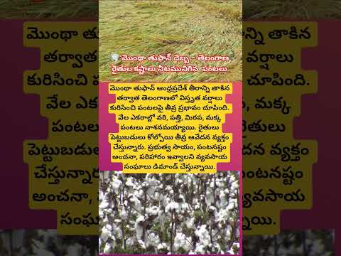 మొంథా తుఫాన్ దెబ్బ – తెలంగాణ రైతుల కష్టాలు నీటమునిగిన పంటలు#monthacyclone#agruculture#farming#flood