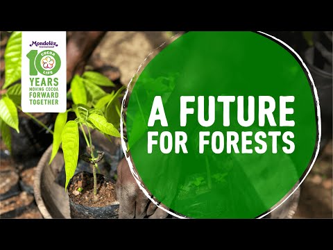 10 Years of Cocoa Life: A Future for Forests