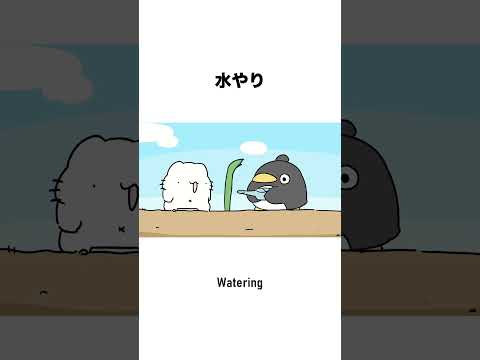 水やり