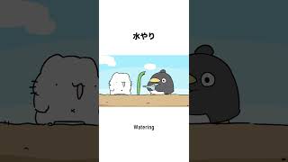 動画サムネイル