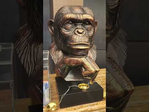 1969 Business Suites Botani#1969商务套房酒店 #1969BusinessSuitesBotani#Hotel #Botani #酒店 #HotelBotani