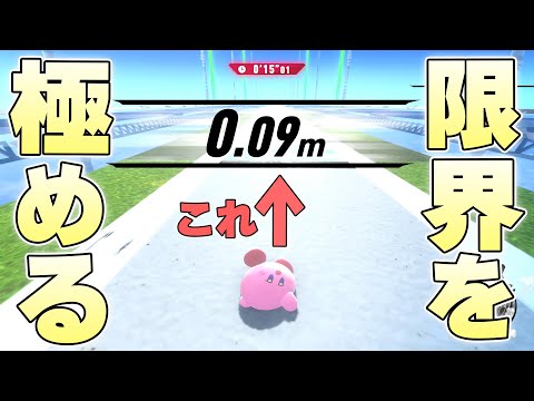 遠くまで飛ぶ距離を競う『エアグライダー』で逆に0.01mを記録することはできるのか【カービィのエアライダー実況】