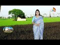 The Flavors Of Rice | మట్టి వాసనలో దేశీ వరి రుచులు | Matti Manishi | 10TV News  - 05:47 min - News - Video
