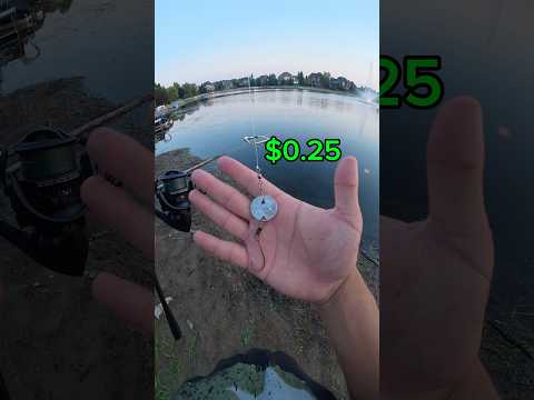 The worlds cheapest <strong>fishing</strong> lure