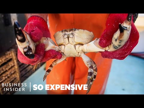 Why Stone Crab Claws Are So Expensive | So Expensive