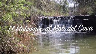 Escoltant els rius de la Vall del Llobregós