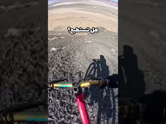 دراج يواجه مصيرًا مرعبًا بعد نزول جبل ضخم!