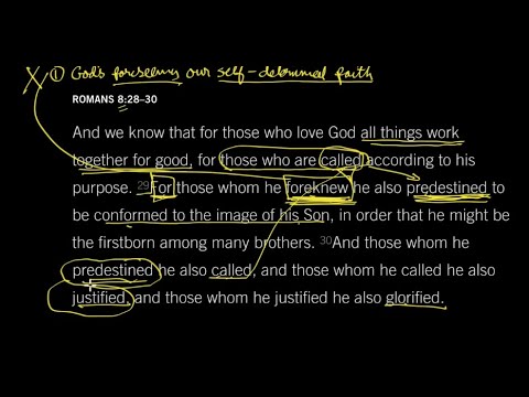 Foreknown by God: Romans 8:29