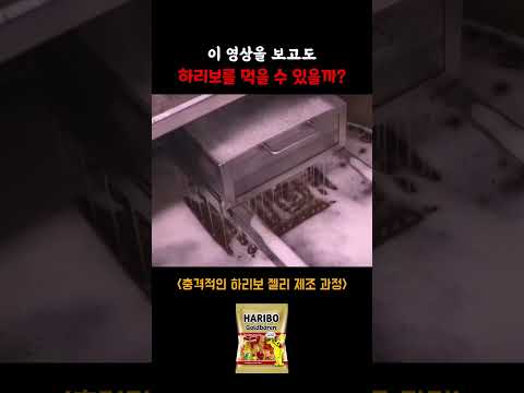 충격적인 하리보 젤리 제조 과정