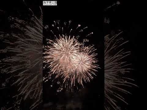 猫の動画サムネイル - 🎇海洋博美ら海花火大会2025　開催お礼🎇