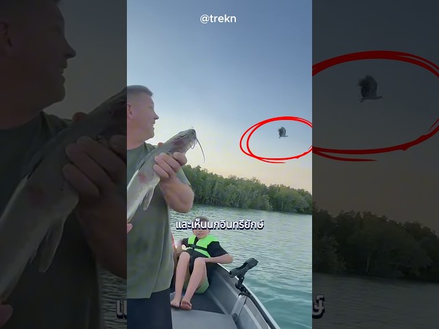 ช็อตนี้เหมือนนัดกันมา! #เล่าเรื่อง #ไม่น่าเชื่อ #funny #viralvideo