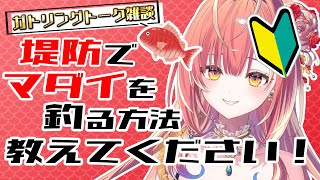【 雑談 】堤防でも真鯛釣れるって本当！？必要なものとか釣れるポイント教えてほしい！【紅波マダイ / うおむすめ】