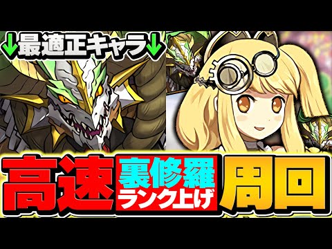 【実質4倍】正月ノルディスで裏修羅ランク上げ！1周1.4億経験値！ずらすだけで快適周回！ランク1000メモリアル狙い！【パズドラ】