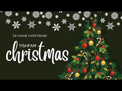 Fishfam Christmas 24-hour Livestream Part 2 