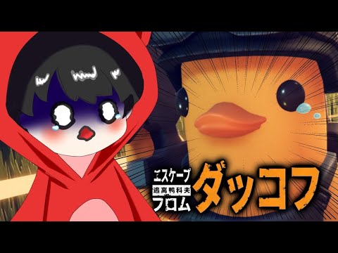 【エスケープフロムダッコフ】今、話題のアヒルのゲームやるよ～【あゆむ】