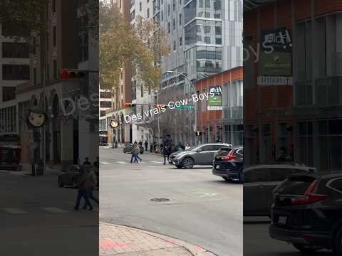 🇺🇸 PONYCORN US EQUESTRIAN TOUR 🇺🇸 Austin, Texas 📍#usa #texas #vlog