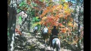 Trail Rides on Tennessee Walker, Missouri Fox Trotter and Peruvian Paso Horses. - YouTube