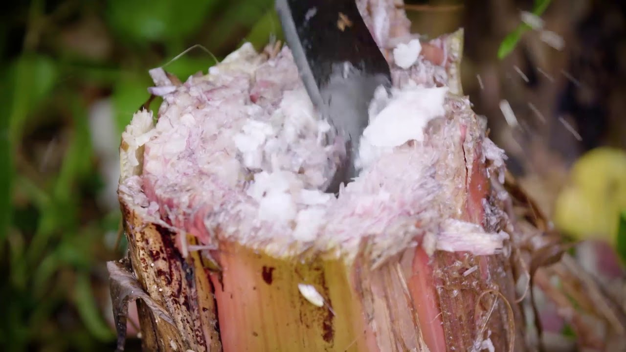 SOS: How to Survive - Banana Tree