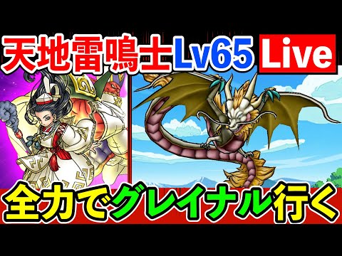 【ドラクエウォーク】天地雷鳴士Lv65到達！　全力でグレイナルにぶつけた結果。。。