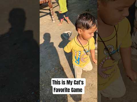 Today I Will Complete My Kitty's Wish #shorts #catshorts #baby #cat