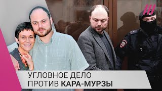 Личное: «Я верю в Володины силы, я верю в свои силы». Евгения Кара-Мурза об аресте мужа