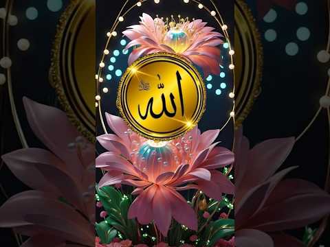 Mere Sabhi Musalman Bhai ❤️ Comments Mein 🤲🏻Allah 🤲🏻 Likho