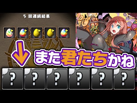 ハロウィンガチャを5回引いて出たキャラでハロウィンコロシアムに挑む！【パズドラ】