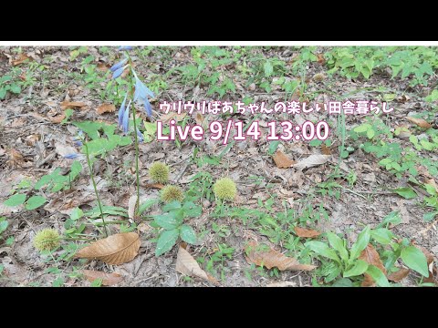 60代からの過ごし方、考えてみよう