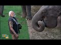 PM Modi Explores Kaziranga National Park, Engages with Women Forest Guards | News9  - 01:02 min - News - Video