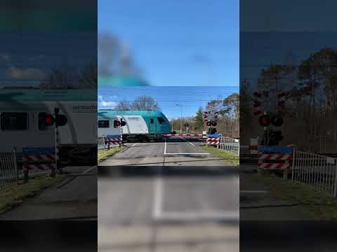 Spoorwegovergang Deurningen //Dutch Railroad Crossing // Bahnhübergang Deurningen #shorts