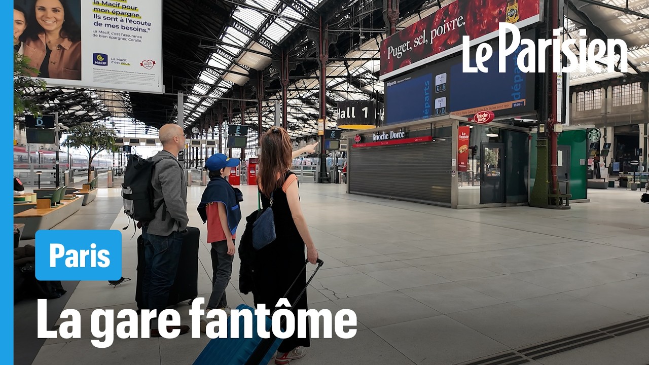 Ces voyageurs « pas du tout au courant » que la Gare de Lyon est fermée