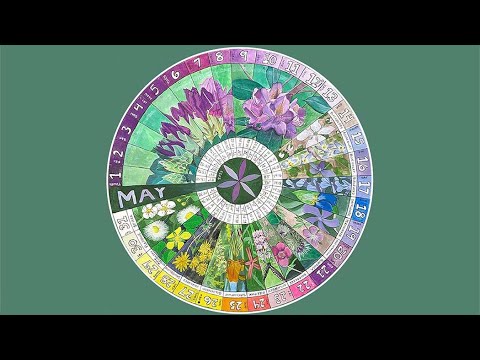 May Phenology Wheel - Wildflowers 