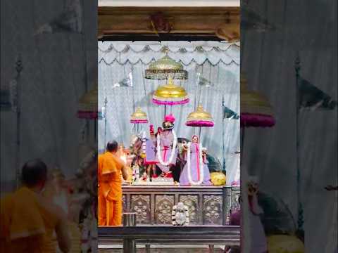 26 October 2025 Morning Mangla Aarti Govind dev ji  #kanha #kanhaiya #krishna #radheradhe