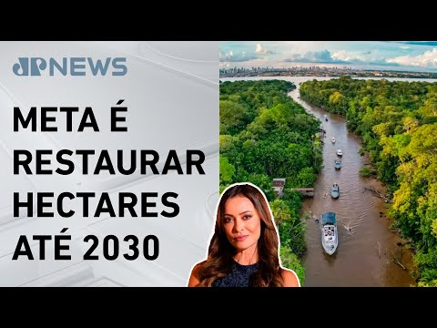 Programa Restaura Amazônia é lançado pelo governo; Patrícia Costa analisa